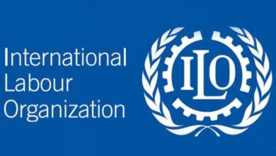 ilo-internship