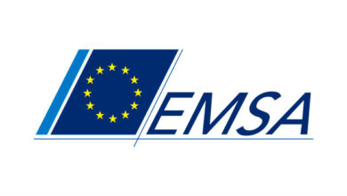 emsa-traineeship