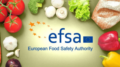 efsa-traineeship