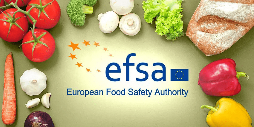 efsa-traineeship