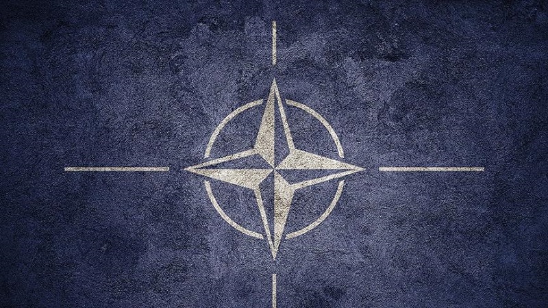 nato-internship