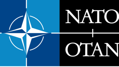 nato-internship