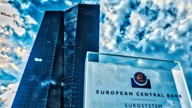 ecb-traineeship