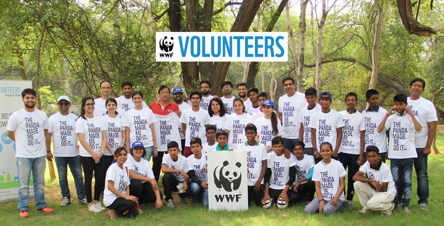 wwf thesis internship