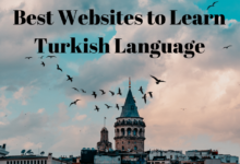 turkish-language