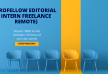profellow-intern